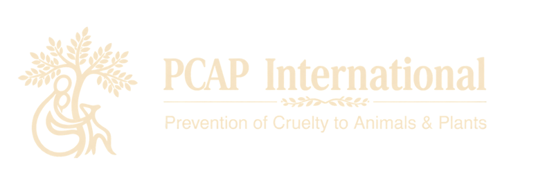 PCAP International